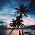 Avatar de Franco Leyva